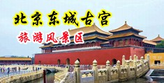 尻屄片中国北京-东城古宫旅游风景区